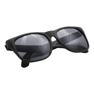 Malter Sunglasses
